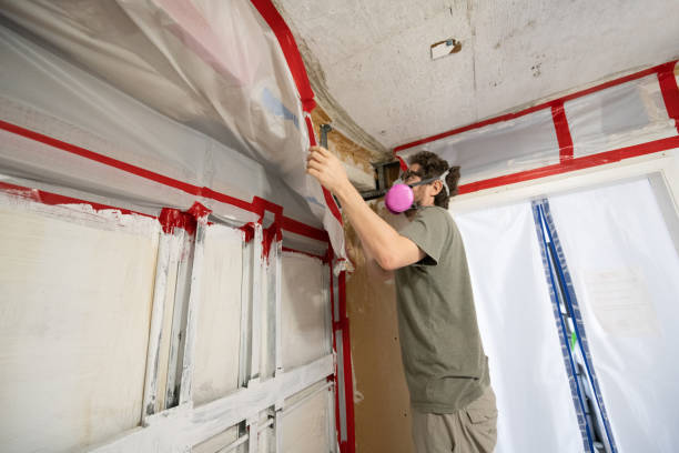 Best Basement Mold Removal  in Huxley, IA