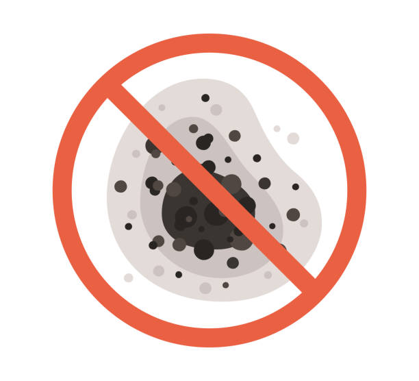 Best Mold Odor Removal Services  in Huxley, IA