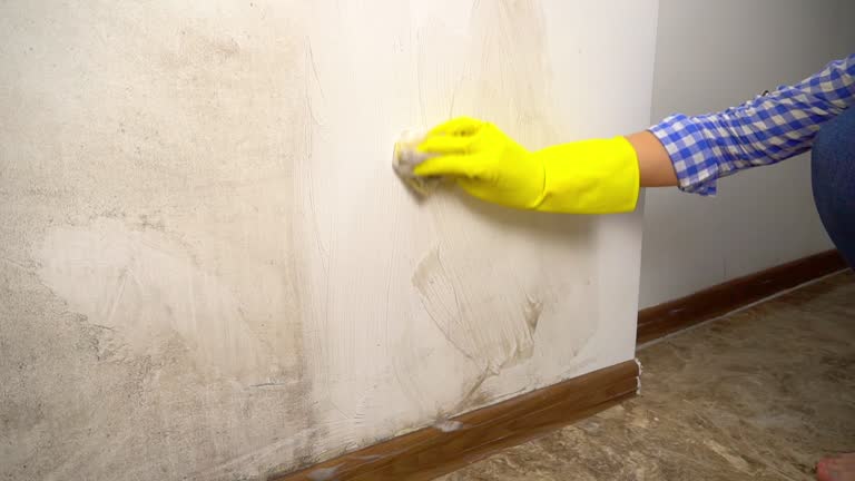 Best Dehumidification Services  in Huxley, IA
