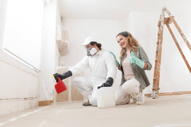 Best Black Mold Removal  in Huxley, IA