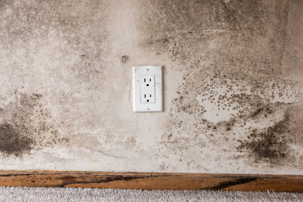 Best Residential Mold Inspection & Testing  in Huxley, IA
