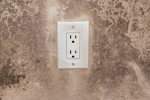 Best Post-Construction Mold Inspection  in Huxley, IA