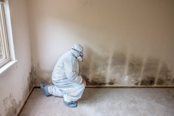 Best Residential Mold Inspection & Testing  in Huxley, IA